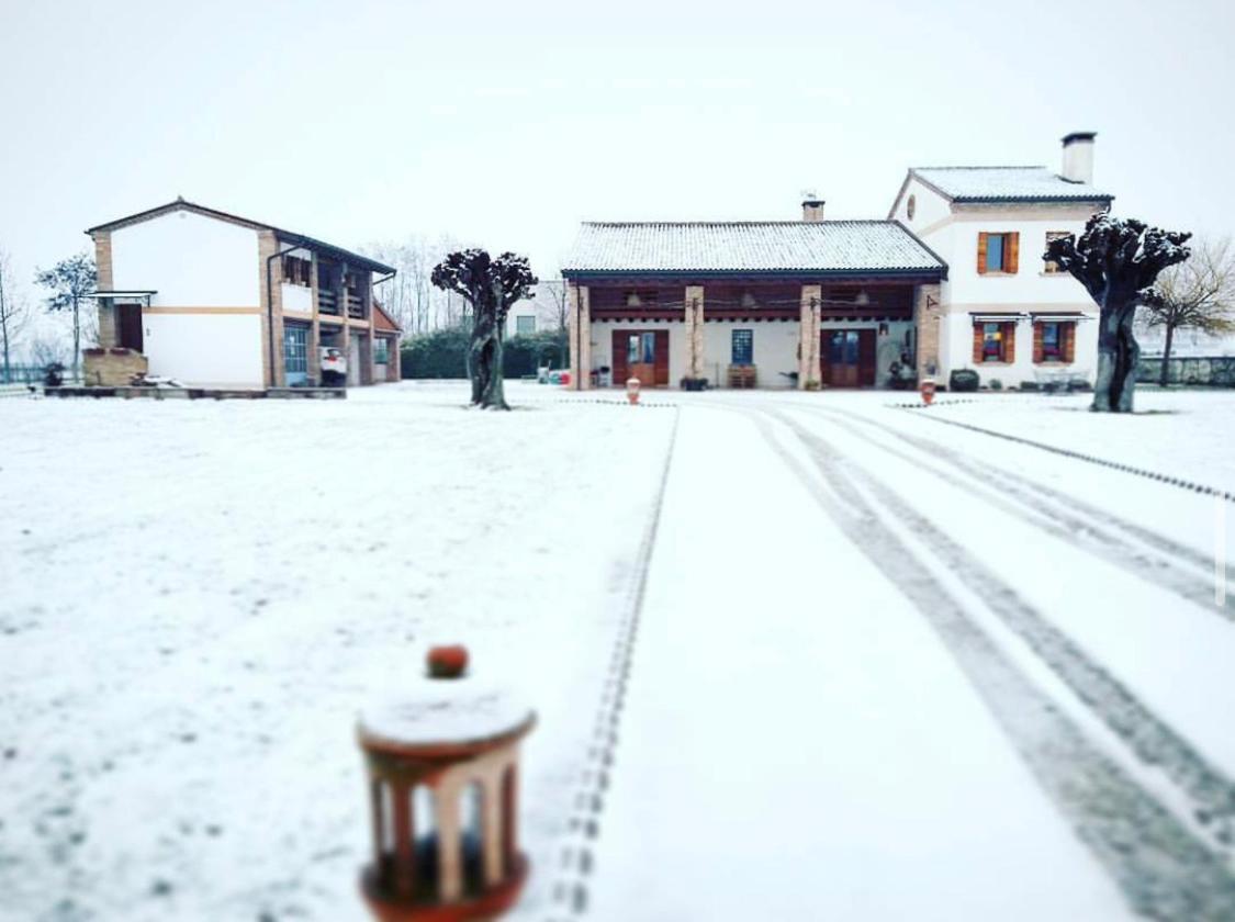 Rio Della Pila Bed and Breakfast San Martino di Lupari Exteriör bild